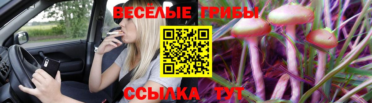 Галлюциногенные грибы Cubensis Сургут